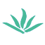 专利管理系统